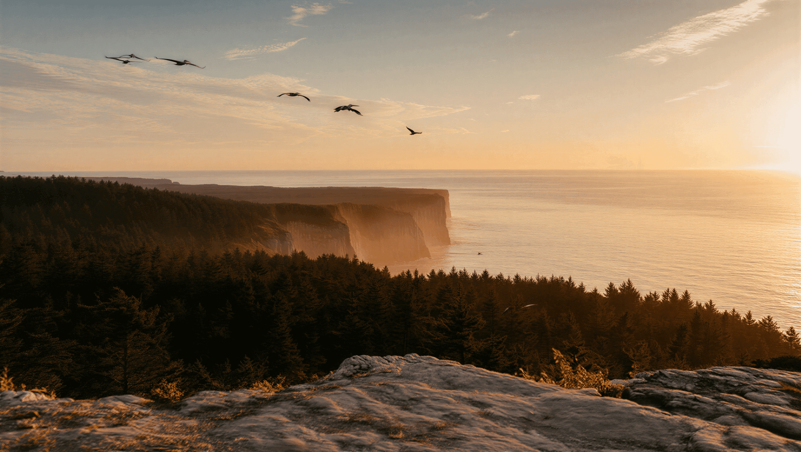 Mountain peaks at sunrise